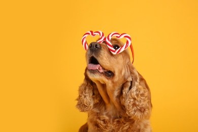 Photo of Adorable Cocker Spaniel dog in party glasses on yellow background