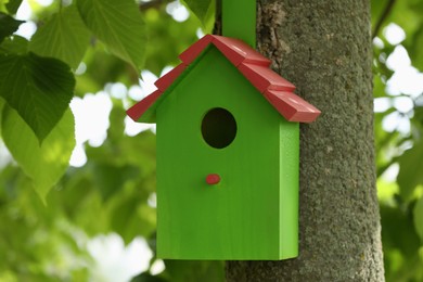 Photo of Green bird house on tree trunk outdoors