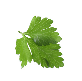 Photo of Aromatic fresh green parsley isolated on white