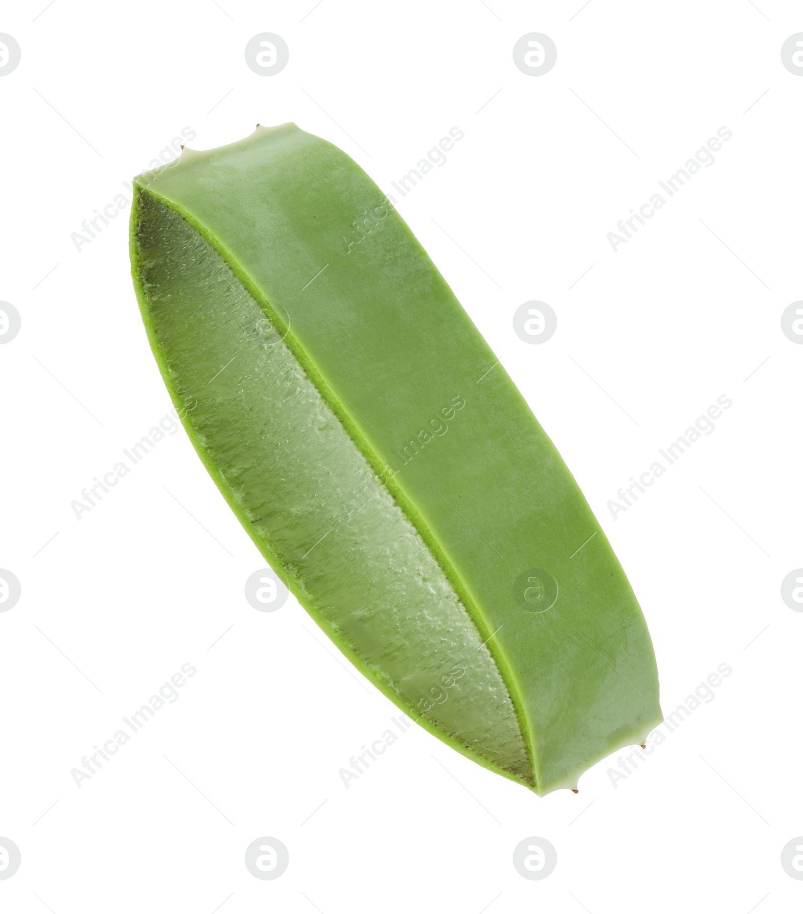 Photo of Green aloe vera slice isolated on white