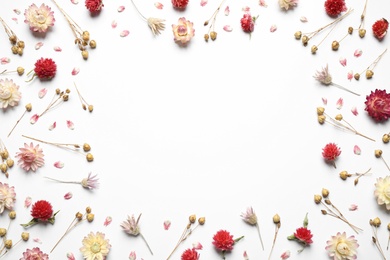 Photo of Frame of different dry flowers on white background, flat lay. Space for text