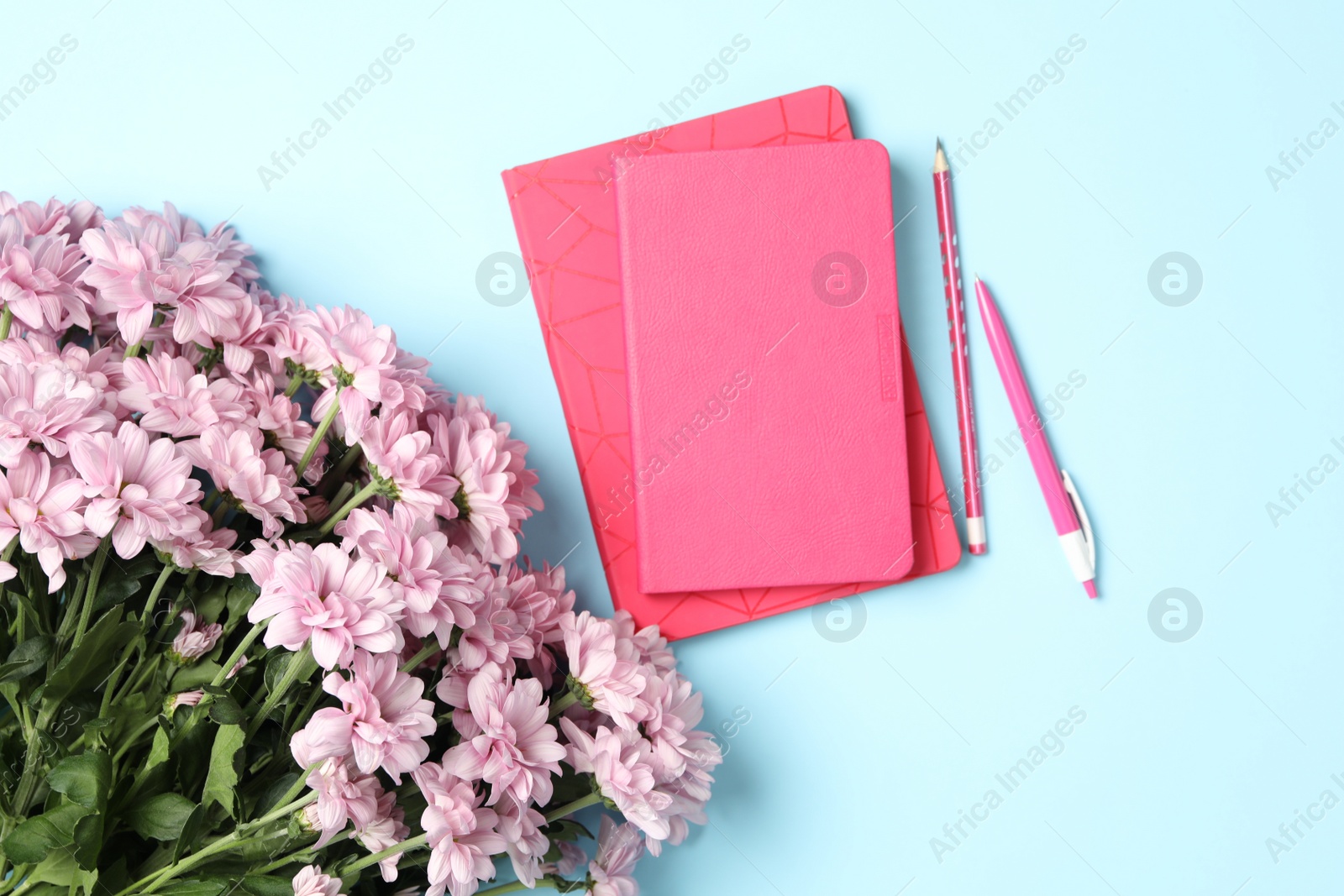 Photo of Different school stationery and beautiful pink flowers on light blue background, flat lay. Happy Teacher's Day