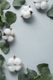 Photo of Cotton flowers and eucalyptus leaves on light grey background, flat lay. Space for text