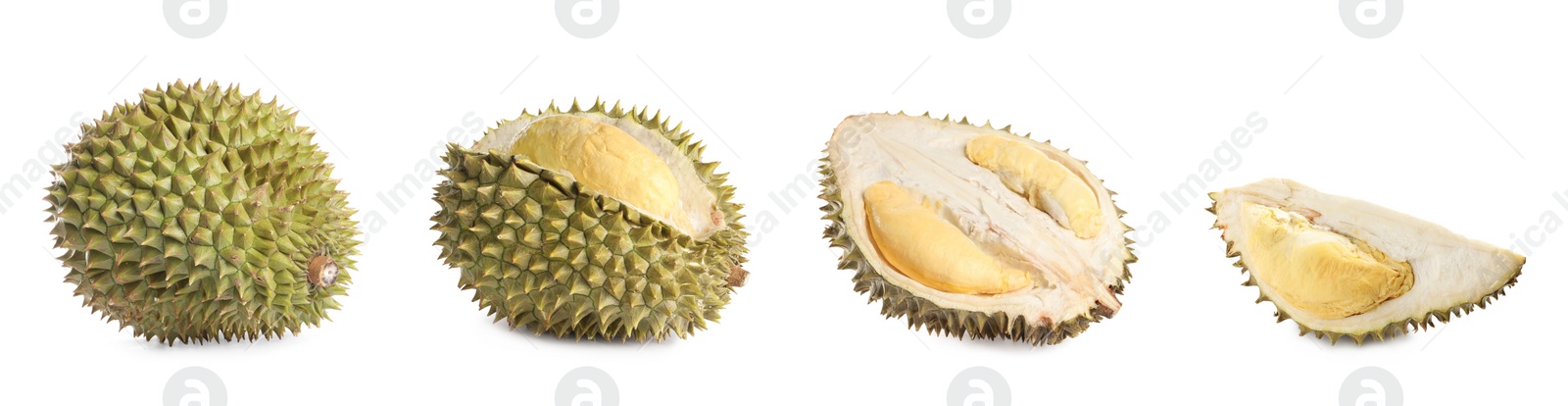 Image of Set with ripe durians on white background. Banner design