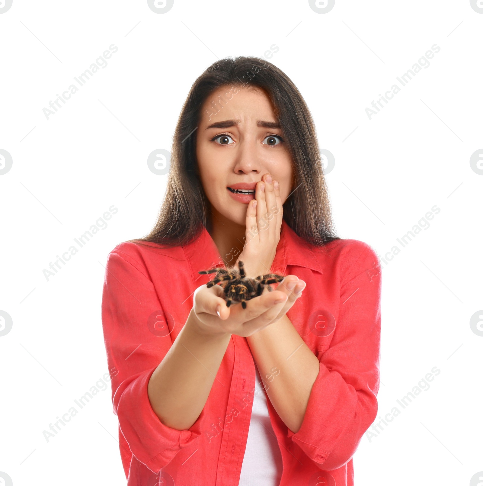 Photo of Scared young woman with tarantula on white background. Arachnophobia (fear of spiders)