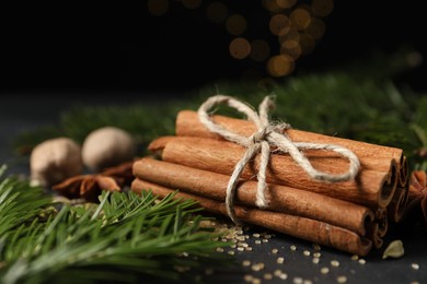 Different spices and fir branches on table, closeup