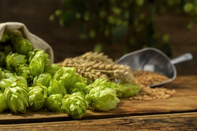 Fresh green hops, wheat grains and spikes on wooden table, closeup. Space for text