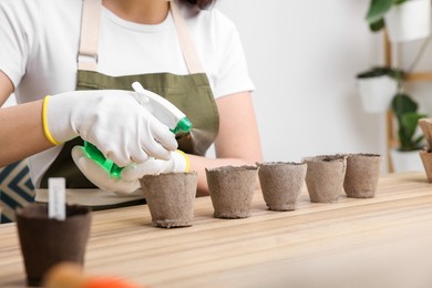 Photo of Young woman spraying water onto vegetable seeds in peat pots at wooden table indoors, closeup