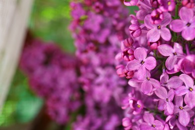 Photo of Beautiful lilac flowers on blurred background, closeup. Space for text