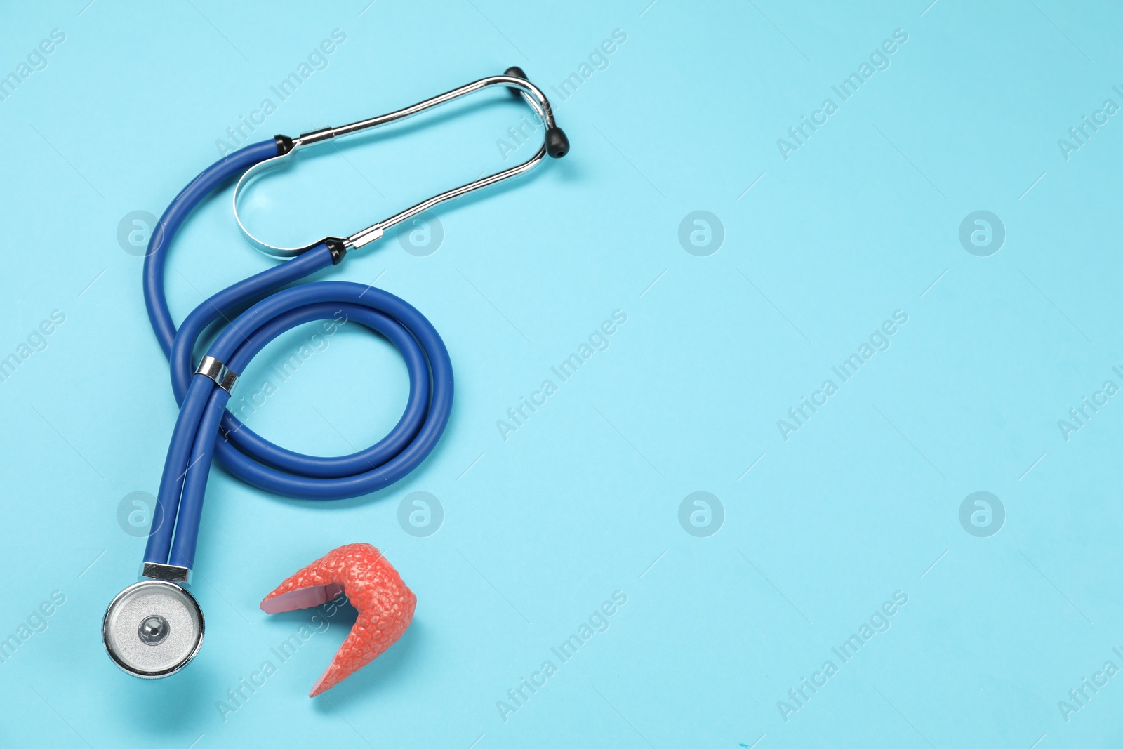 Photo of Endocrinology. Stethoscope and model of thyroid gland on light blue background, top view. Space for text