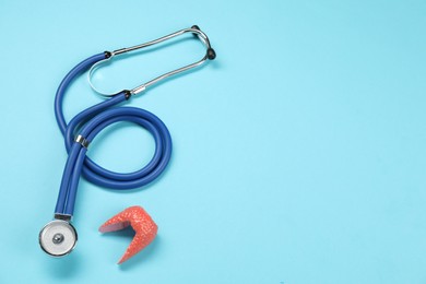 Endocrinology. Stethoscope and model of thyroid gland on light blue background, top view. Space for text