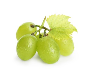 Fresh grapes with leaf and water drops isolated on white