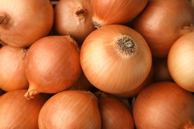 Many ripe onion bulbs as background, closeup