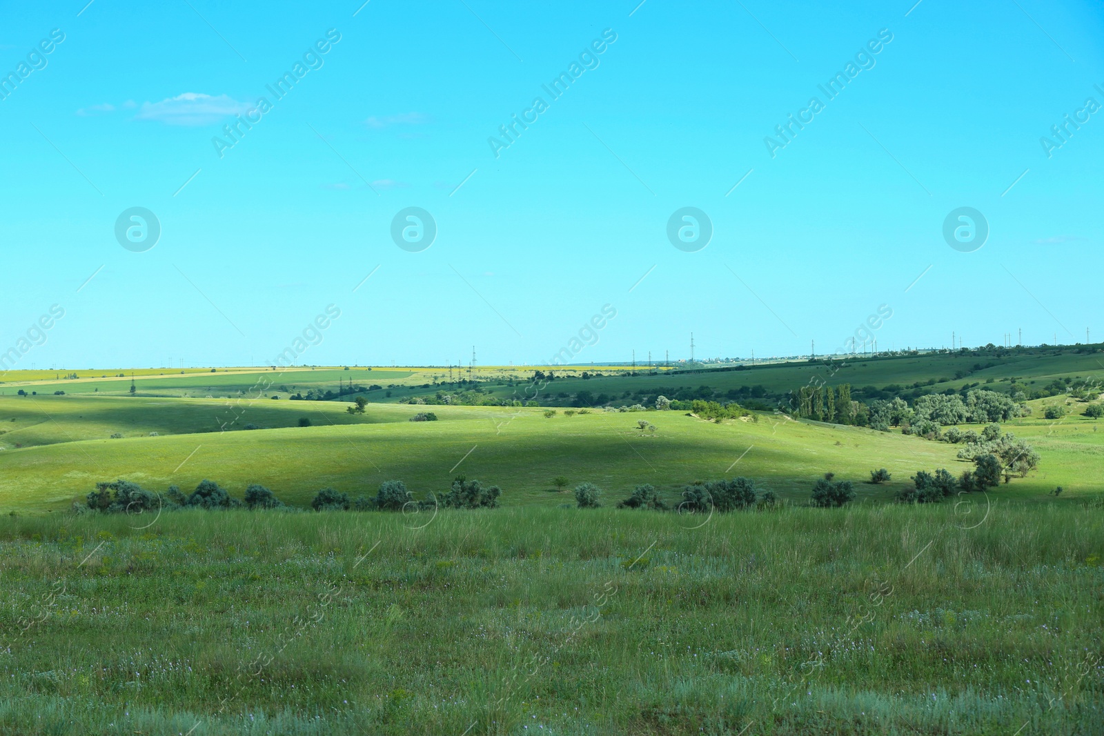 Photo of Beautiful landscape with green grass on sunny day