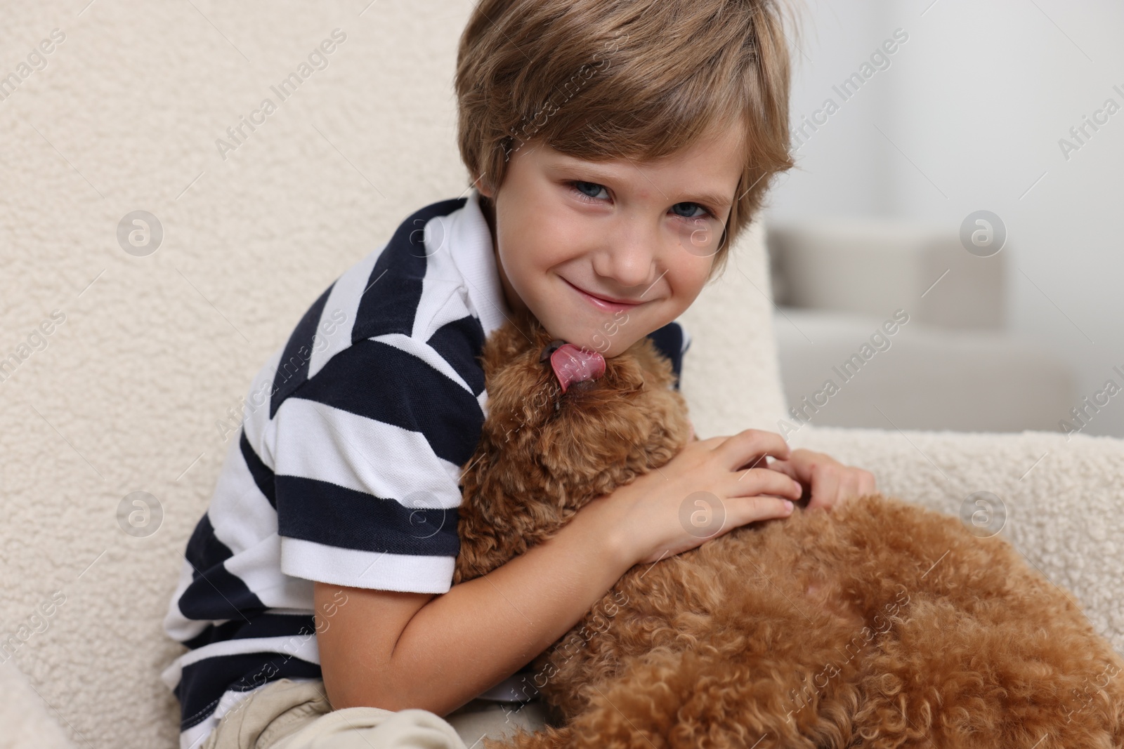 Photo of Little child with cute puppy in armchair indoors. Lovely pet