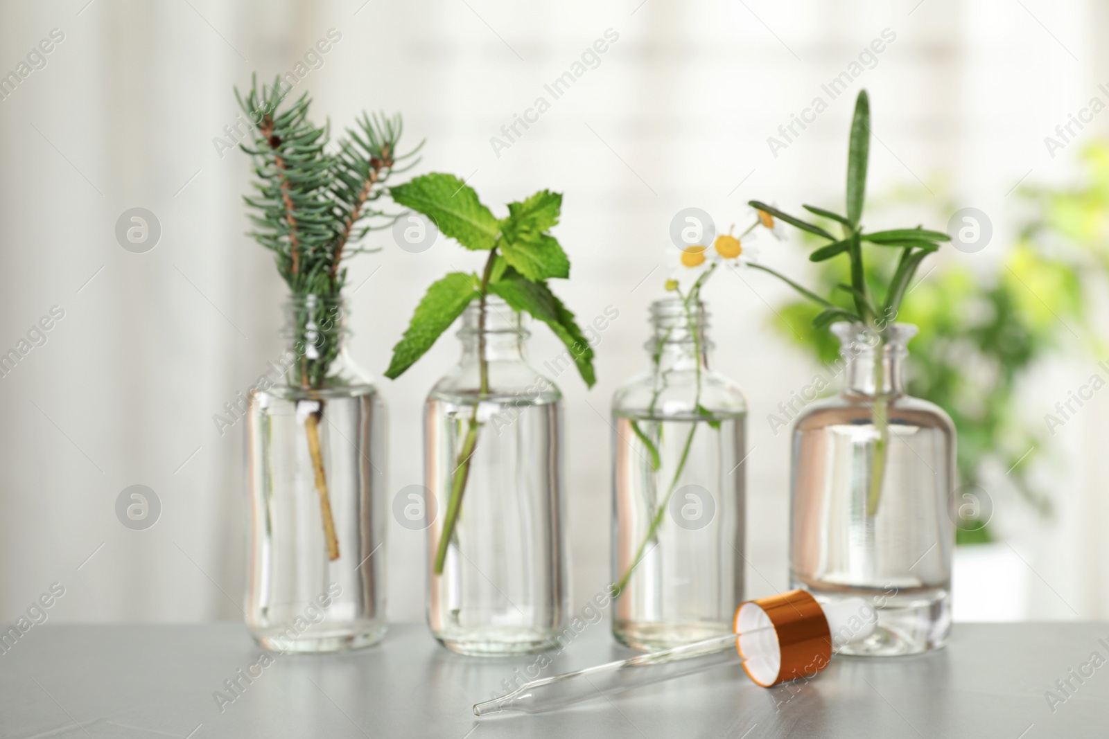 Photo of Glass bottles of different essential oils with plants on table