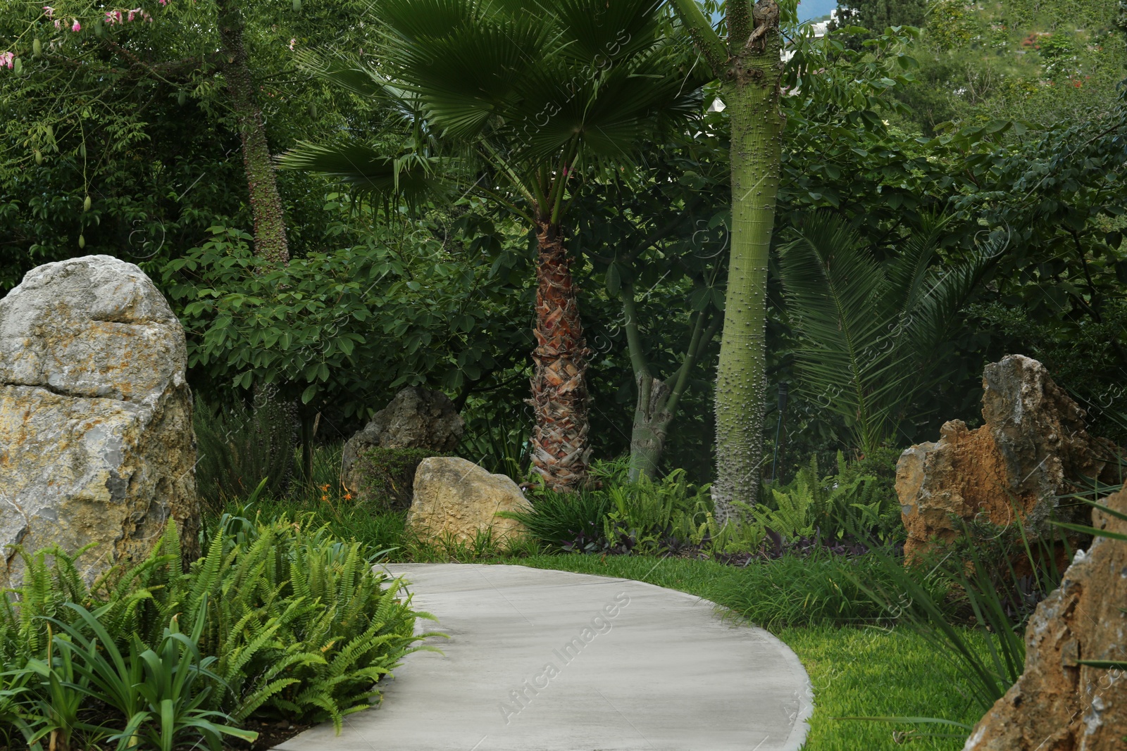 Photo of Beautiful view of park with green plants