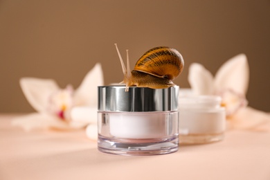 Photo of Organic cosmetics made with mucin and snail on table