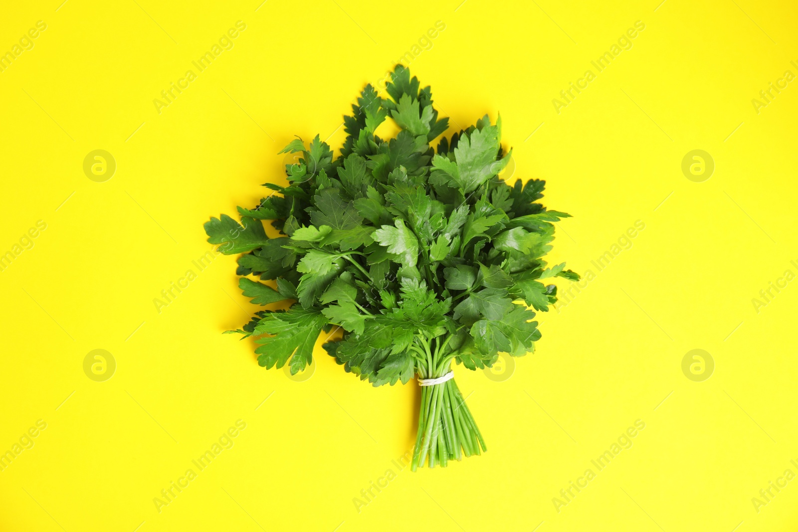 Photo of Bunch of fresh green parsley on color background, view from above