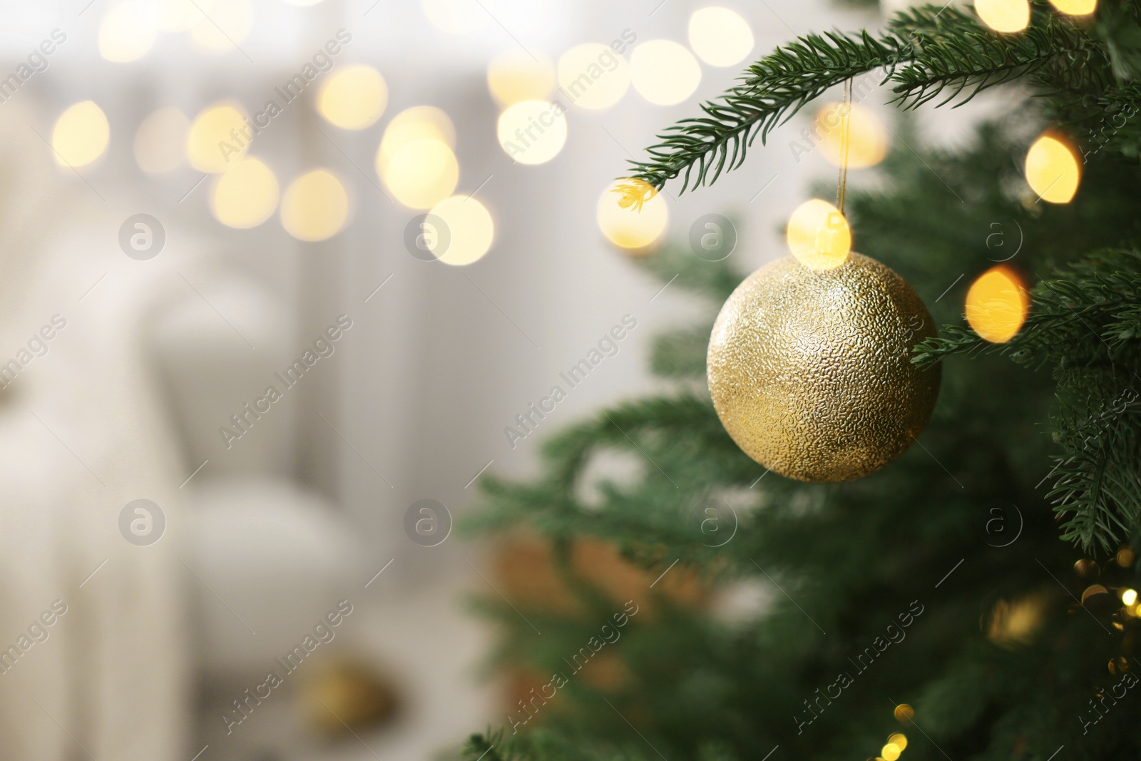 Photo of Christmas ball hanging on fir tree branch indoors, closeup. Space for text