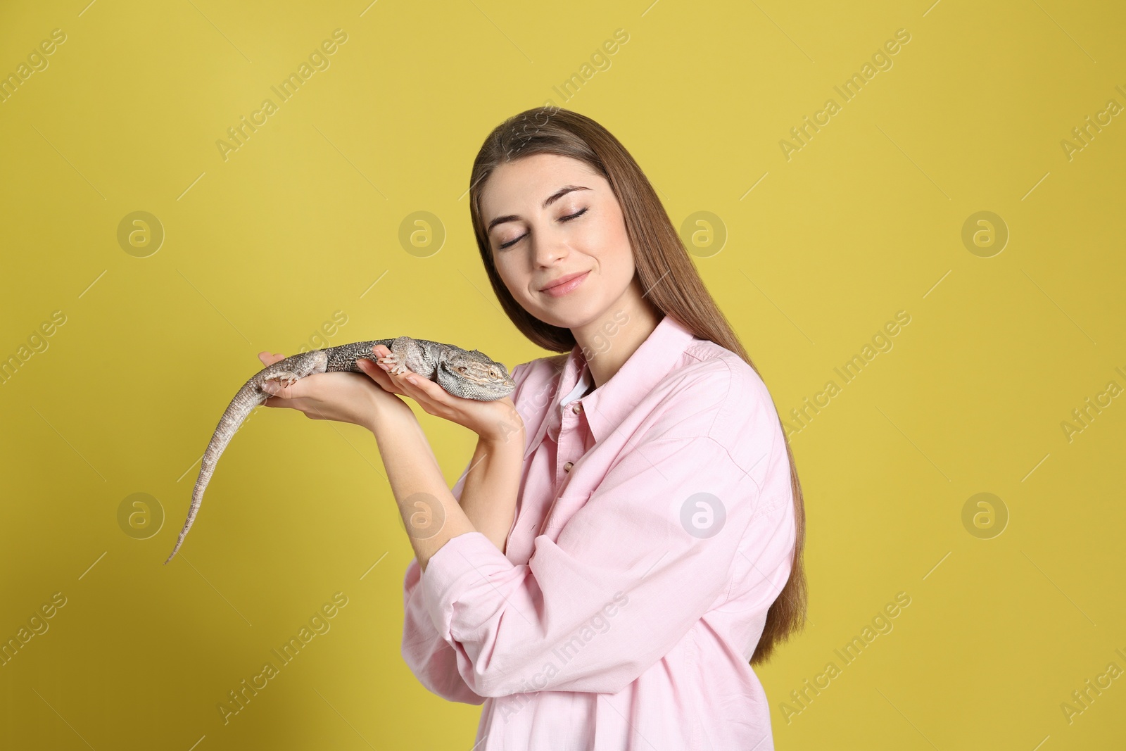 Photo of Woman holding bearded lizard on yellow background. Exotic pet