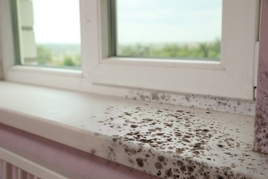 Image of Window, sill and slope affected with mold in room