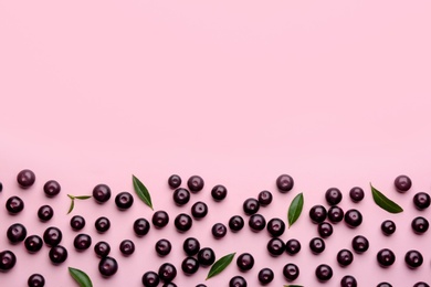 Fresh acai berries and green leaves on pink background, flat lay. Space for text