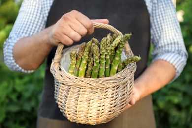 Man holding wicker basket with fresh raw asparagus outdoors, closeup