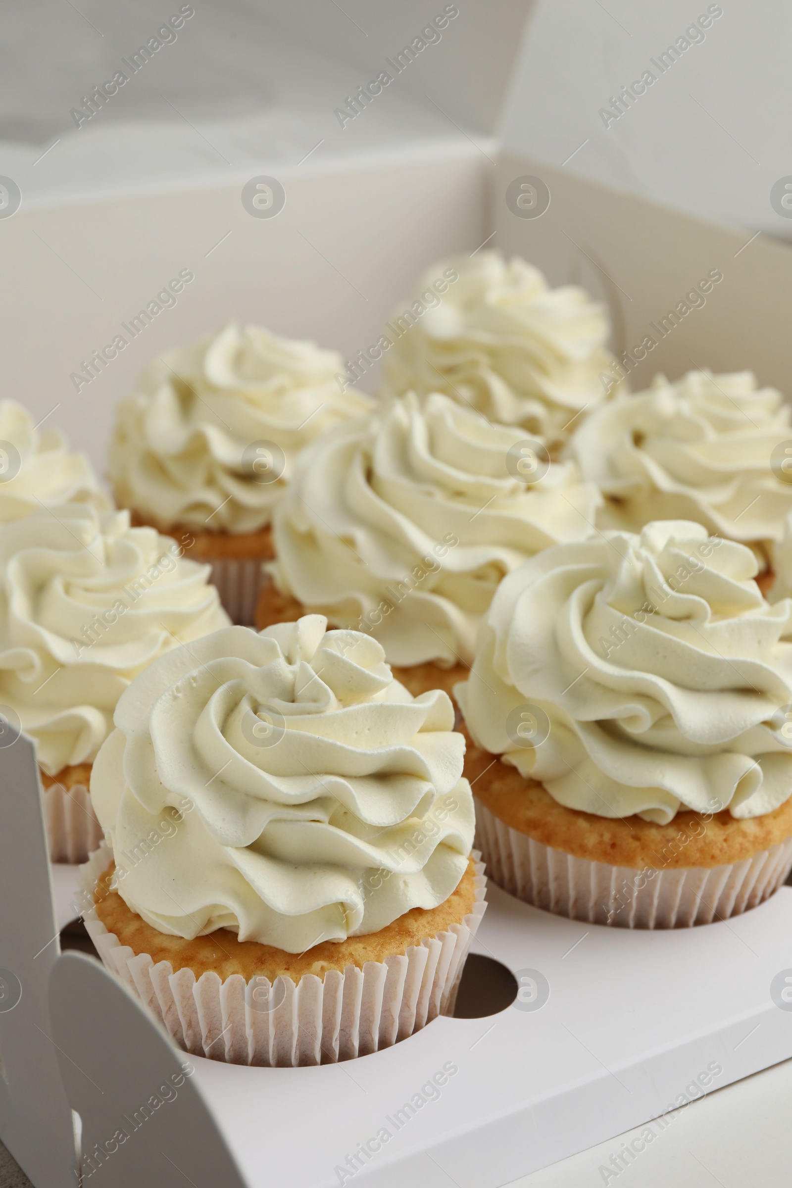 Photo of Tasty cupcakes with vanilla cream in box, closeup