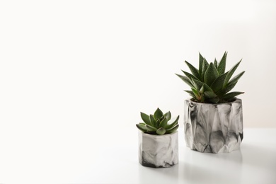 Photo of Beautiful succulents on white table, space for text. Interior decoration