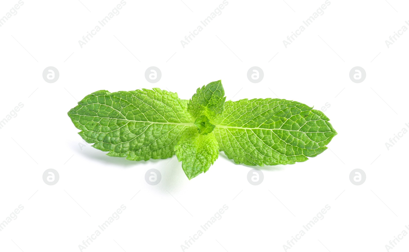 Photo of Fresh green mint leaves on white background