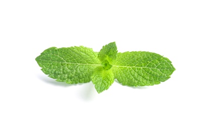 Fresh green mint leaves on white background