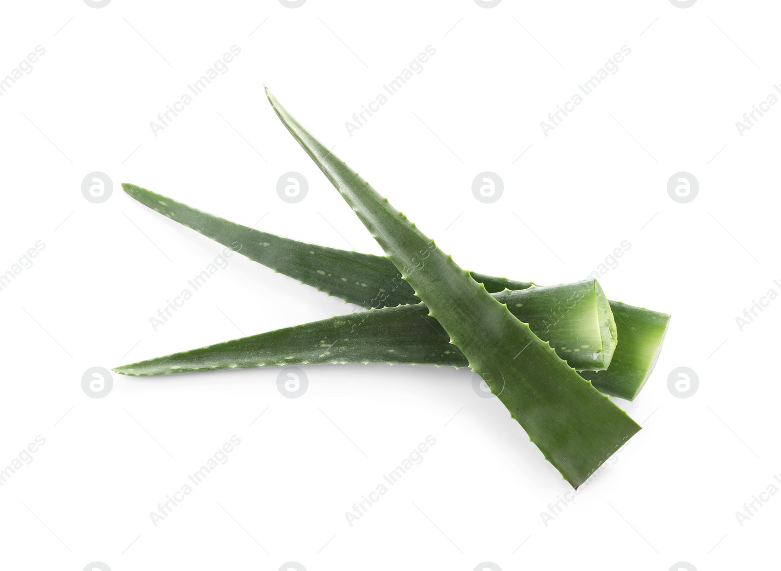 Photo of Green aloe vera leaves isolated on white, top view