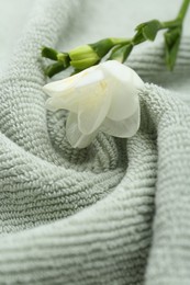 Photo of Freesia flower on soft green towel, closeup