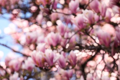 Photo of Blurred view of beautiful tree with pink blossom outdoors. Bokeh effect