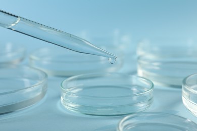 Dripping liquid from pipette into petri dish on light blue background, closeup