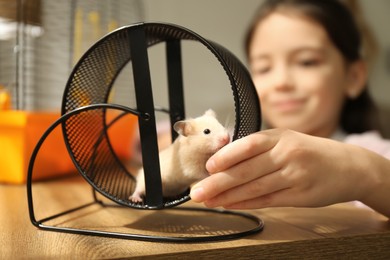 Photo of Little girl watching her hamster playing in spinning wheel at home, focus on hands