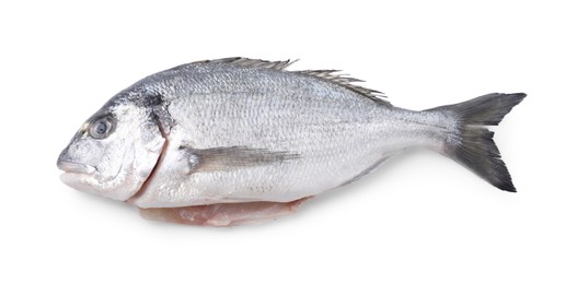 Photo of Fresh raw dorado fish isolated on white, top view