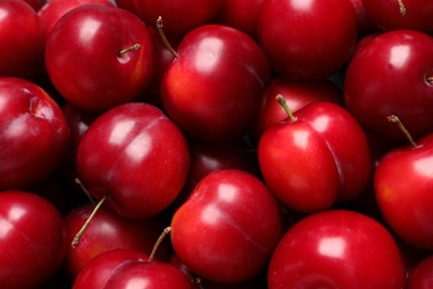 Photo of Fresh ripe cherry plums as background, closeup