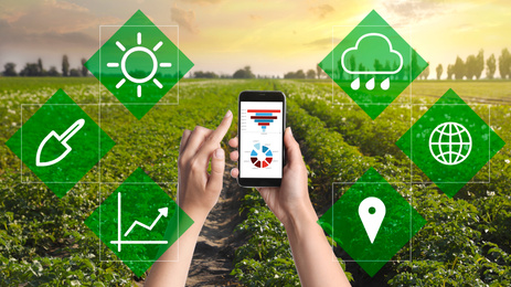 Image of Modern agriculture. Woman with smartphone in field and icons, closeup