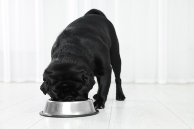 Photo of Cute Pug dog eating from metal bowl in room