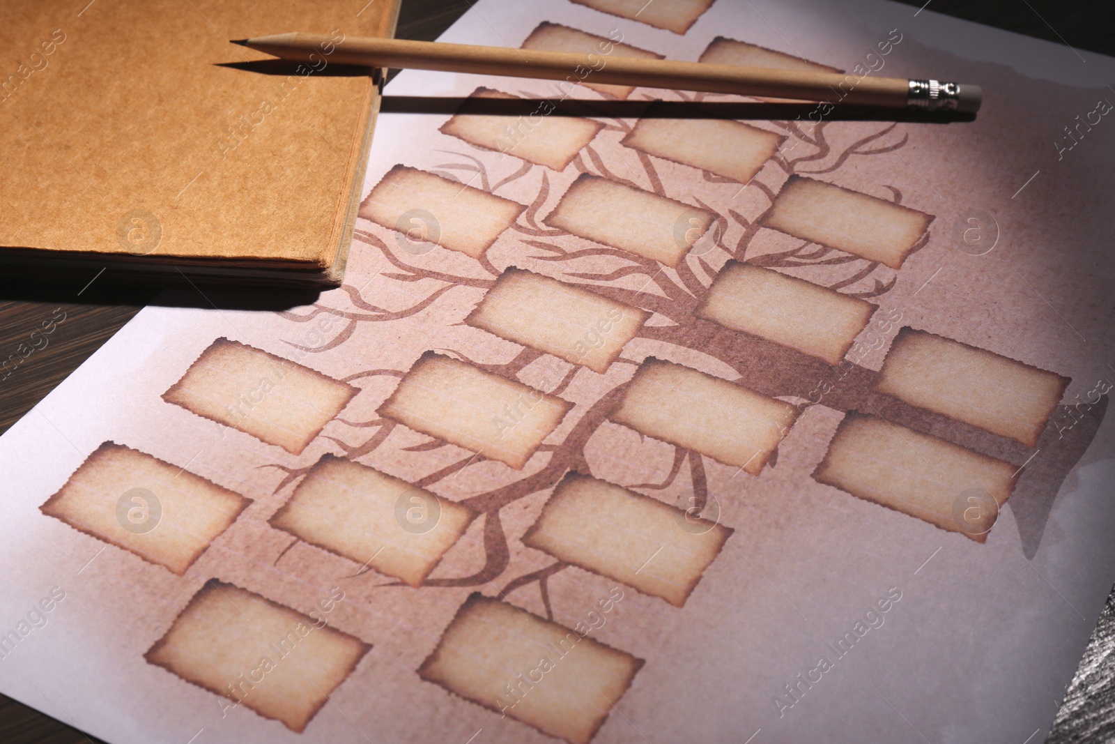 Photo of Blank family tree, notebook and pencil on table, closeup