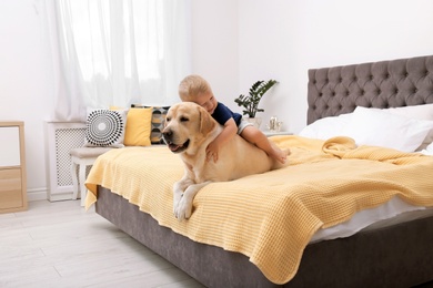 Adorable yellow labrador retriever and little boy on bed at home