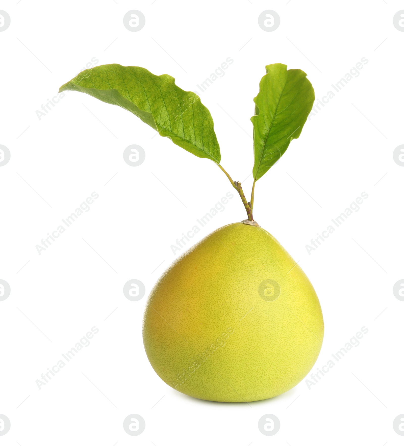 Photo of Fresh exotic pomelo fruit with leaves isolated on white