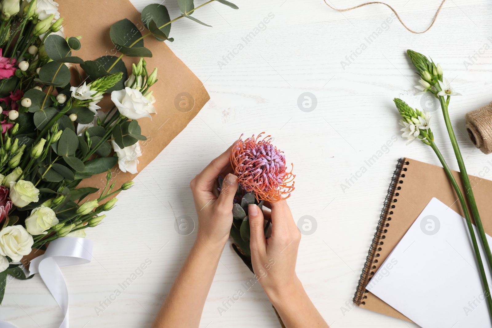 Photo of Florist holding beautiful leucospermum flower at white wooden table, top view