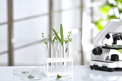 Photo of Laboratory glassware with different plants on table against blurred background. Chemistry research