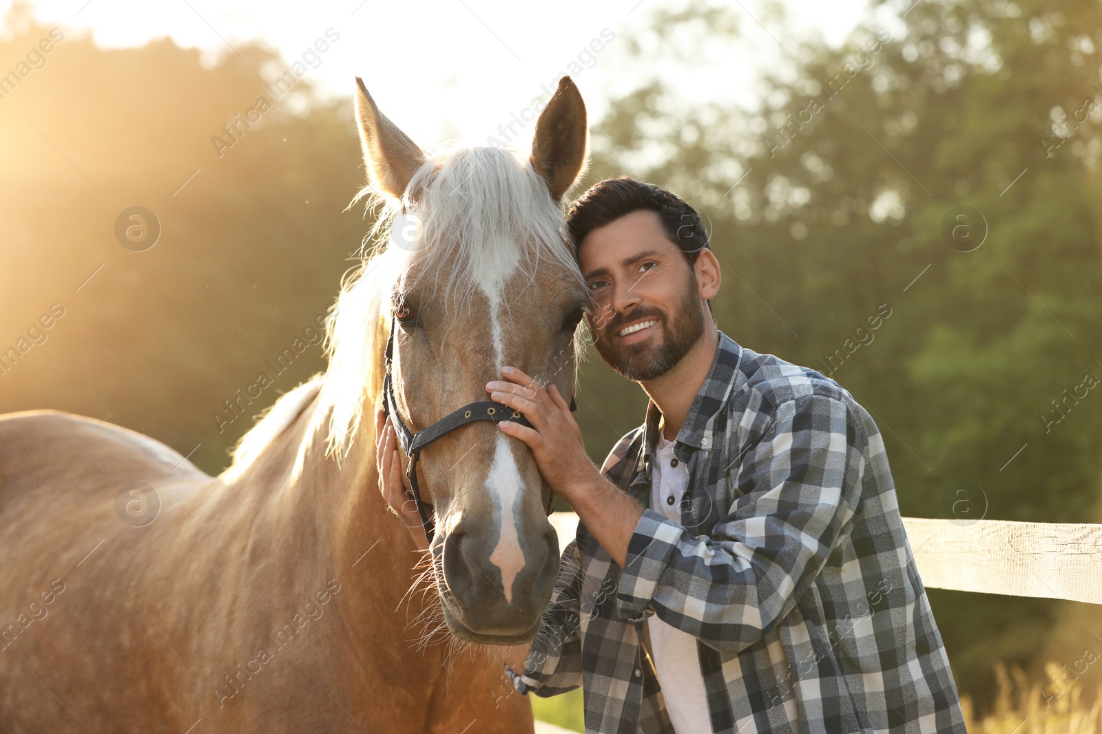 Photo of Man with adorable horse outdoors on sunny day. Lovely domesticated pet