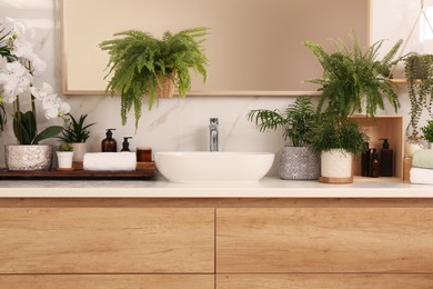 Photo of Counter with sink and many different houseplants near white marble wall