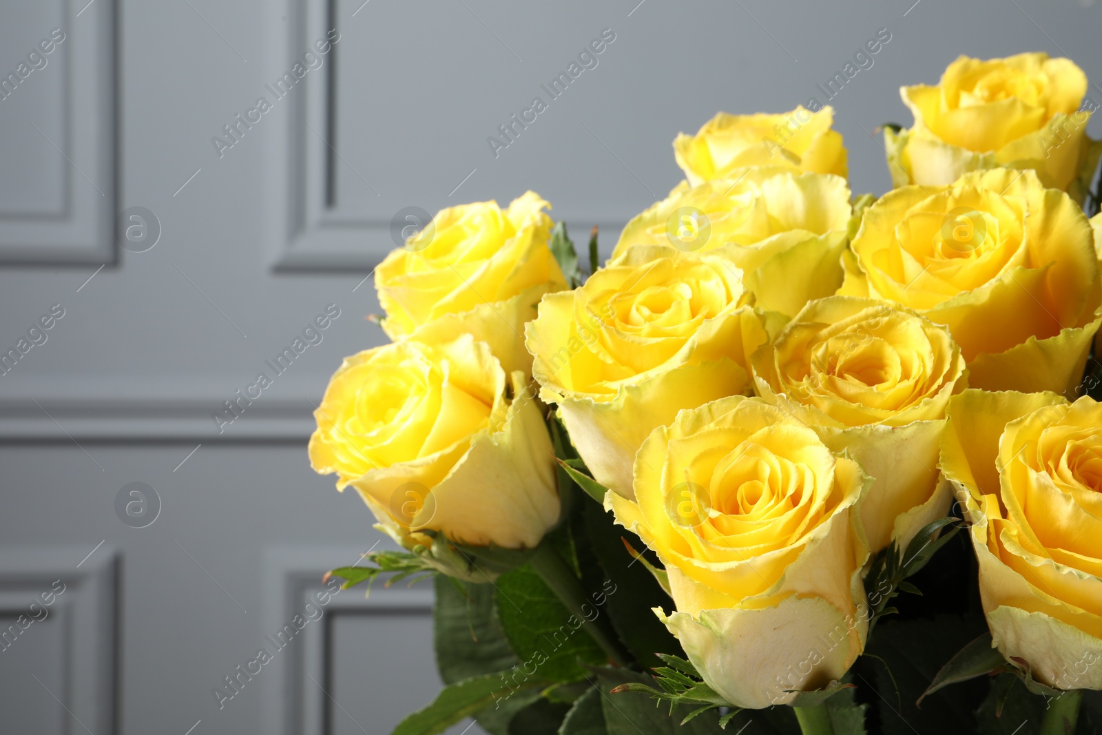 Photo of Beautiful bouquet of yellow roses near light grey wall, closeup. Space for text