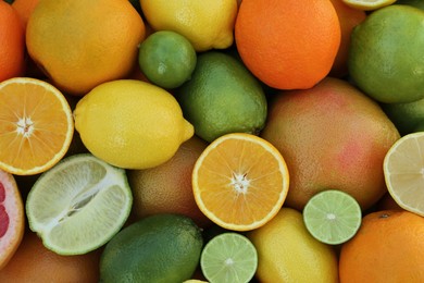 Photo of Different fresh citrus fruits as background, top view